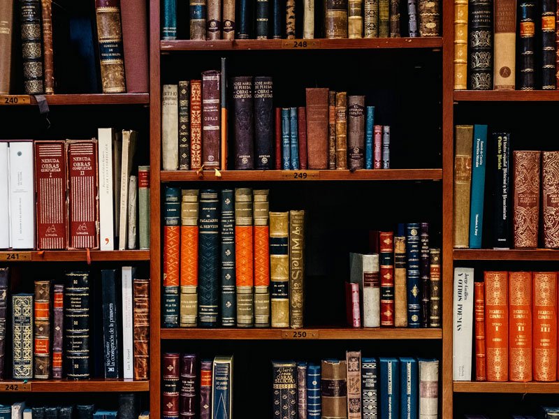 Feature Image Business Services